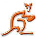 team website