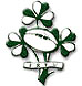 team website