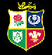 team website