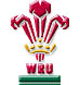 team website