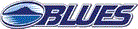 team website