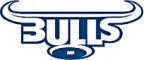 team website