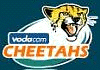 team website
