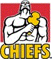 team website