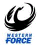 team website