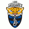 team website