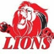 team website