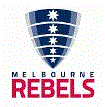 team website