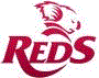 team website
